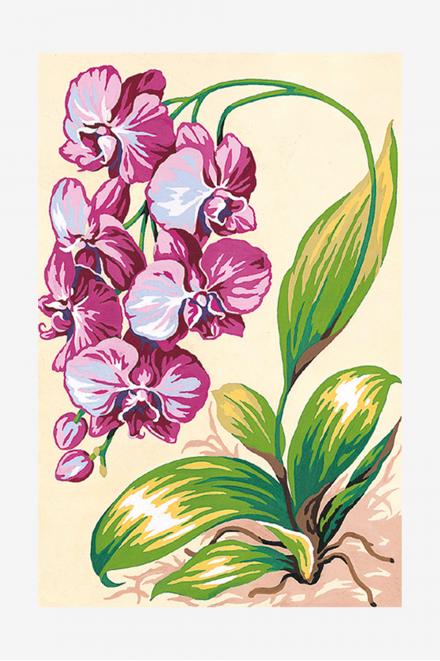 cañamazo antique - Orquídeas