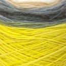 Révélation  8108 - 6 pelotes de 150gr 206