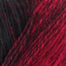 DMC Merino Essentiel 5 Ombré - 150 g 1001