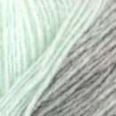 DMC Merino Essentiel 5 ombré - 150gr 1006