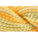 Perlgarn Multicolor #5 12x5g 01304