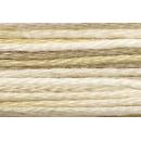 Anchor Mouliné Multicolor 12x8m 01300