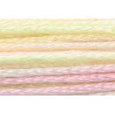 Anchor Mouliné Multicolor 12x8m 01301