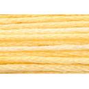 Anchor Mouliné Multicolor 12x8m 01303