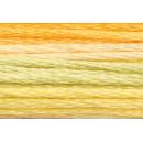 Anchor Mouliné Multicolor 12x8m 01304