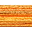 Anchor Mouliné Multicolor 12x8m 01305