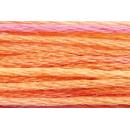 Anchor Mouliné Multicolor 12x8m 01315