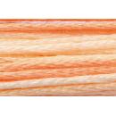 Anchor Mouliné Multicolor 12x8m 01318