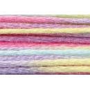 Anchor Mouliné Multicolor 12x8m 01335