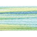 Anchor Mouliné Multicolor 12x8m 01345
