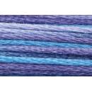 Anchor Mouliné Multicolor 12x8m 01349