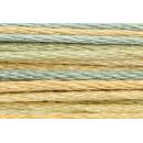Anchor Mouliné Multicolor 12x8m 01353