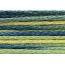 Anchor Mouliné Multicolor 12x8m 01355