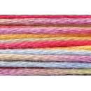 Anchor Mouliné Multicolor 12x8m 01360