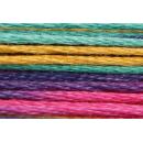 Anchor Mouliné Multicolor 12x8m 01375