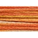 Anchor Mouliné Multicolor 12x8m 01385