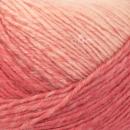 DMC Merino Essentiel 5 ombré - 150gr 1009