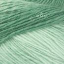Merino Essentiel Ombré - 5 ovillos de 150g 1011
