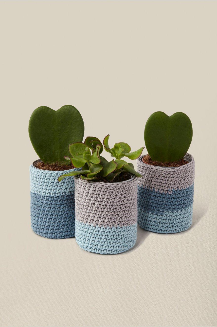 Kit crochet - Cuido mis plantas - Kits de ganchillo - DMC
