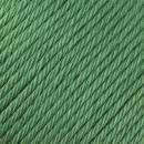 RN Cotton Glace 10x50g RG812