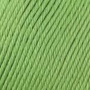 RN Cotton Glace 10x50g RG814